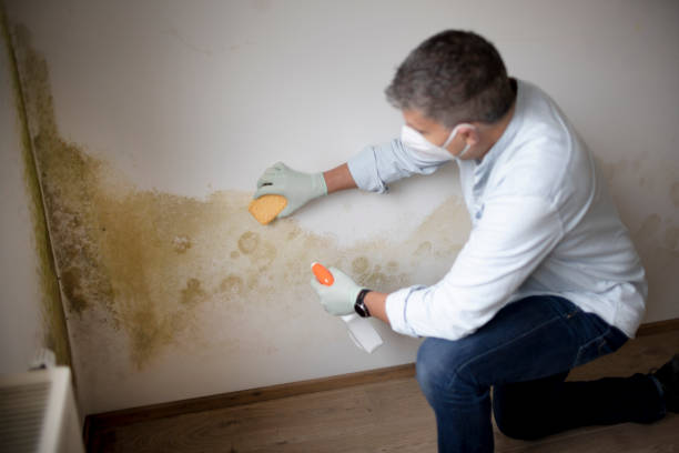 Best Indoor Air Quality Assessment  in Geneva, OH