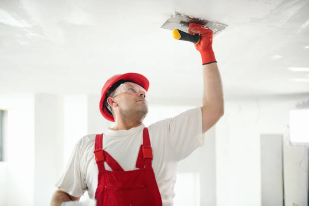 Best Attic Mold Removal  in Geneva, OH