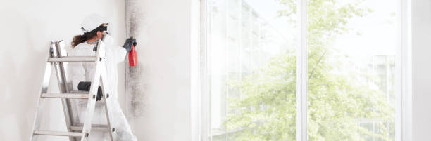 Best Mold Removal for HVAC Installations  in Geneva, OH